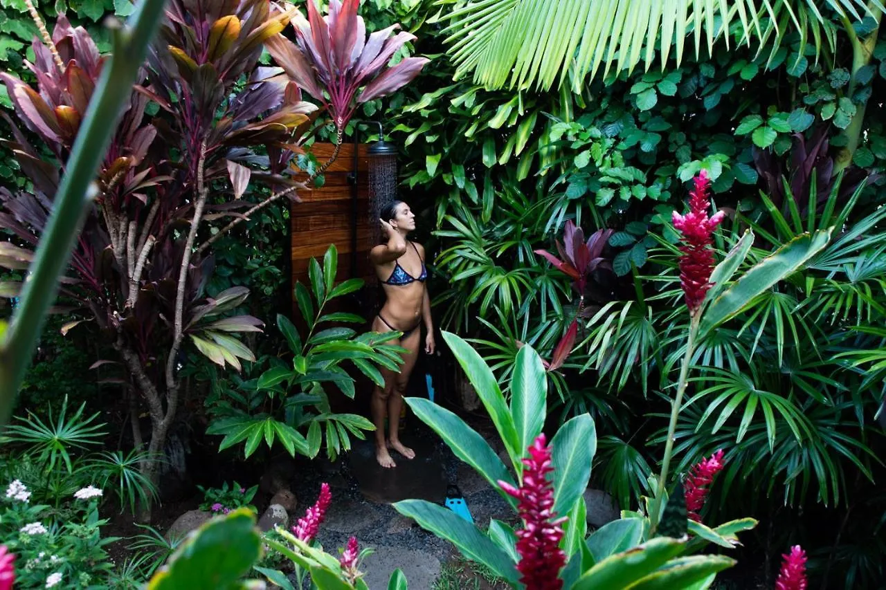The Kulani Maui Hotel Lahaina United States